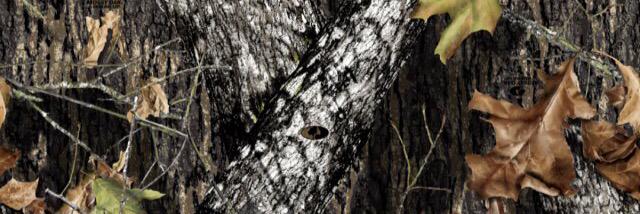 JonathanGreer4's profile banner image