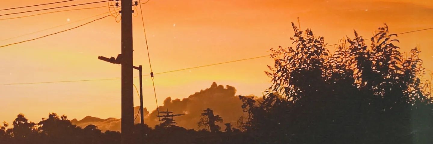 homerpogs's profile banner image
