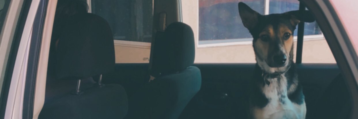 paucmarin's profile banner image
