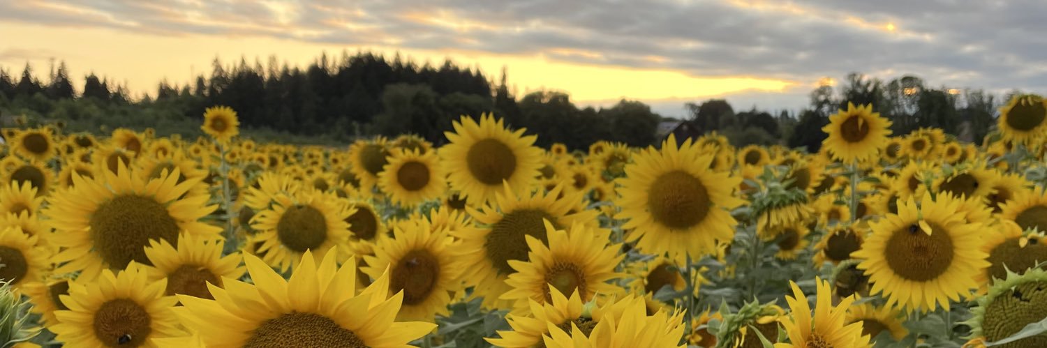 nataliekendall_'s profile banner image