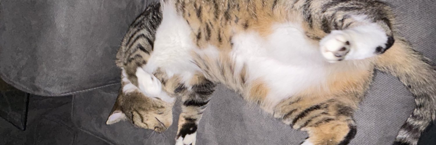 gturd_'s profile banner image