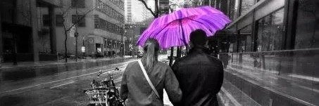Carly J banner