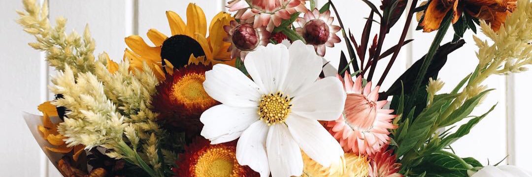 JennaKCarlson's profile banner image