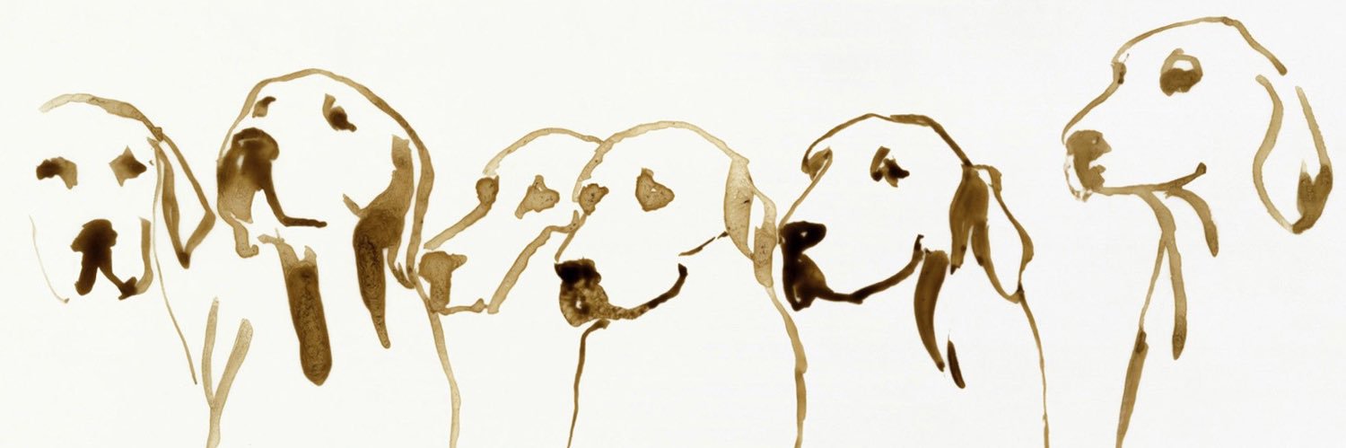 eeyeofthetiger's profile banner image