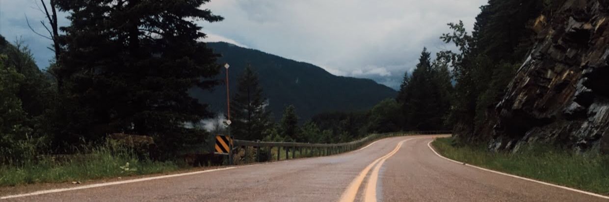 morganpancich's profile banner image