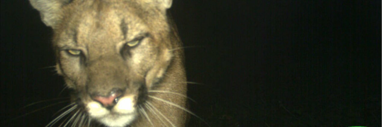 BrayK_47's profile banner image