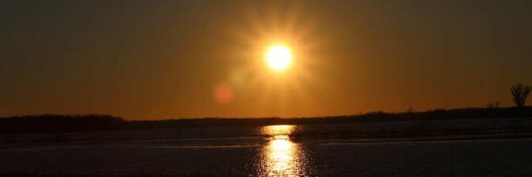 Shay_Sully's profile banner image