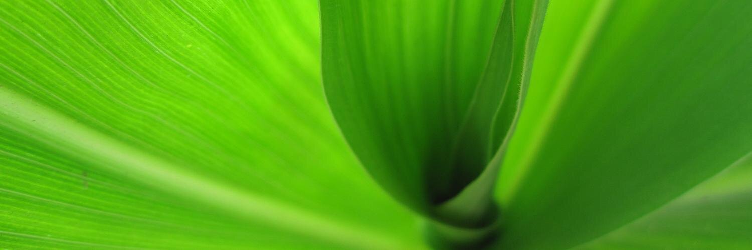 Scott Cressman banner