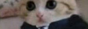 allanbm_'s profile banner image
