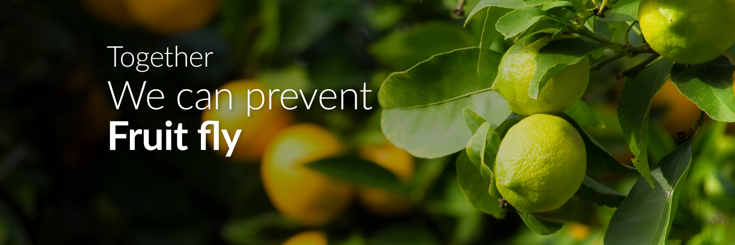 Prevent Fruit Fly banner