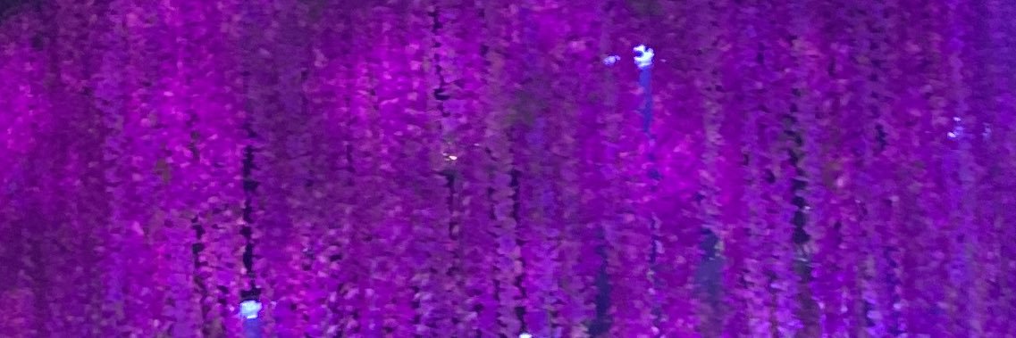 omiller39's profile banner image