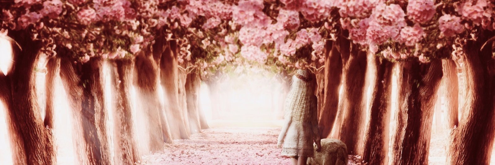 Coco__777's profile banner image