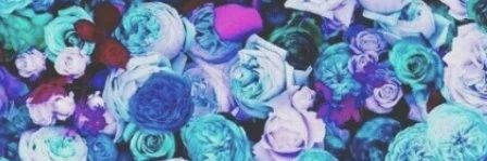 Forritaaa16's profile banner image