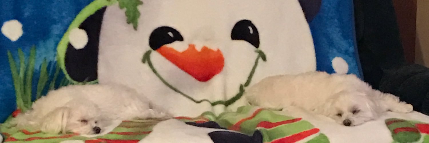 bobblehead99's profile banner image