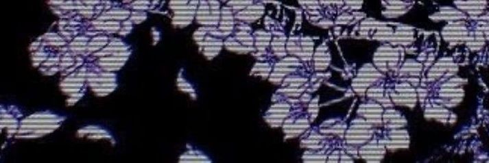 miffuyi's profile banner image