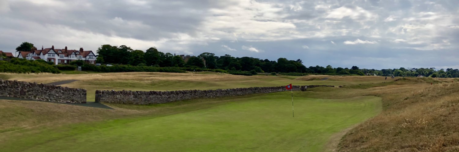 Griffin Flesch banner