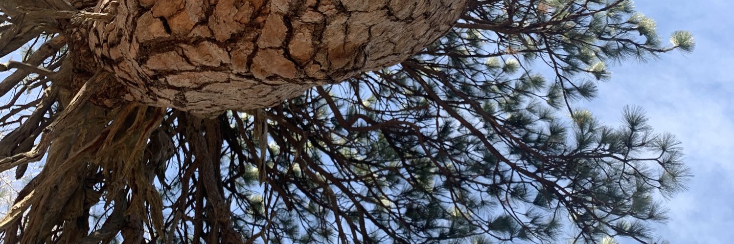 GrayBellnap's profile banner image