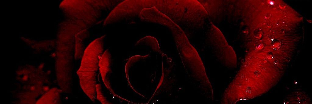 Venoplague's profile banner image