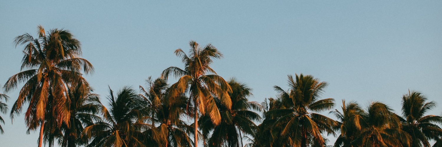 himdani's profile banner image