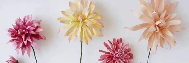 sierrabusbice_'s profile banner image