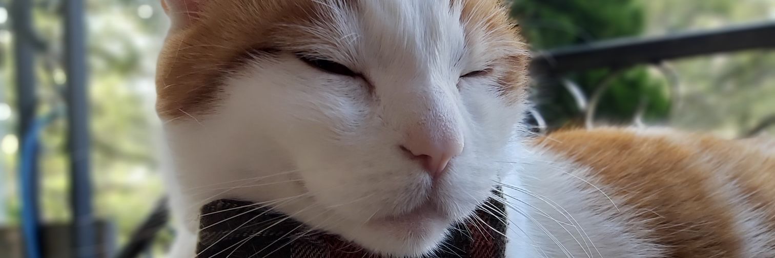 FedUpAndPissed banner