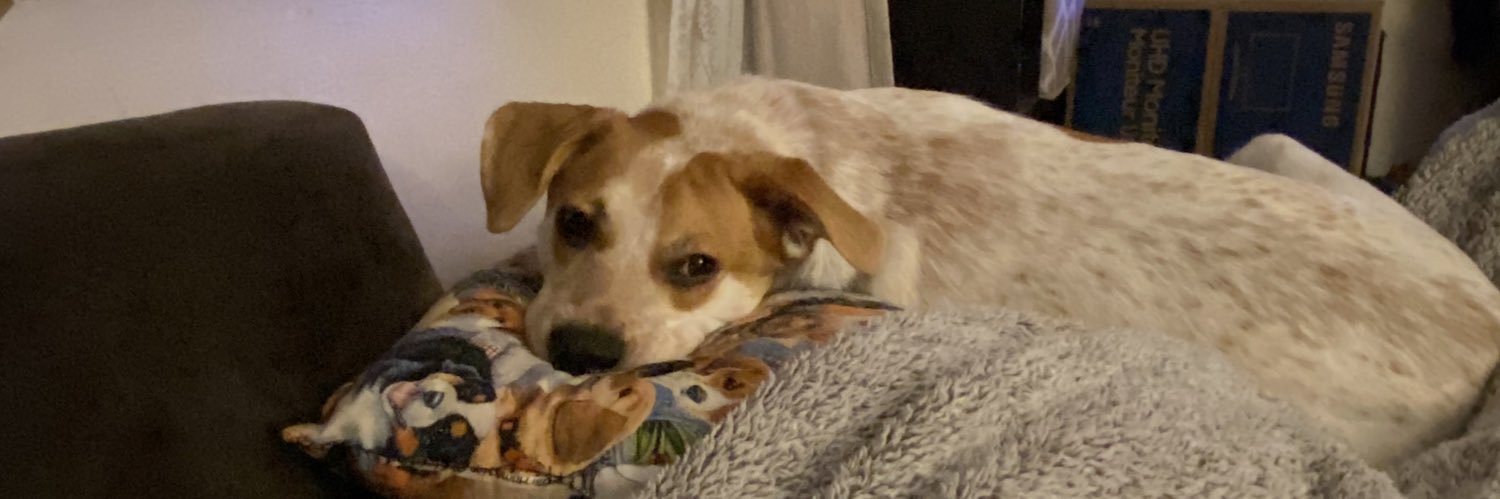 shann__on's profile banner image