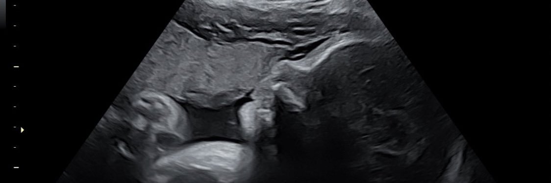 MacendrewK's profile banner image