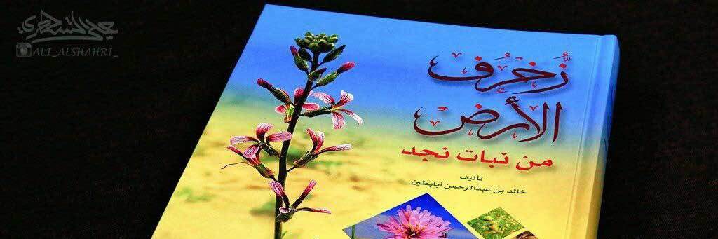 خالد أبابطين's banner