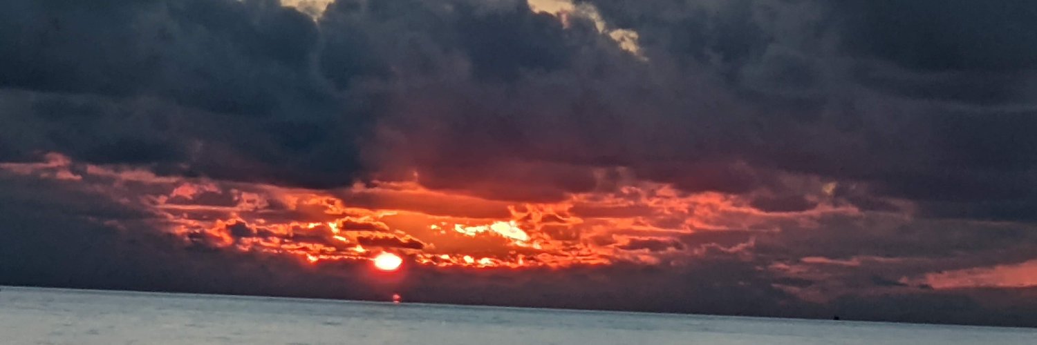 Len Mitchell 🦜🏴‍☠️🍹 banner