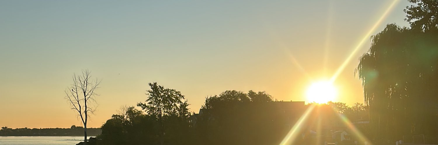 shenaniganshane's profile banner image