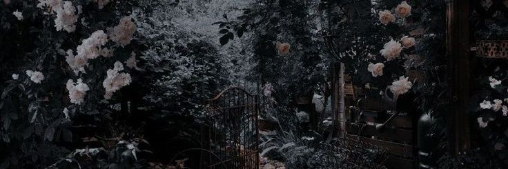Not_ACelebrity's profile banner image