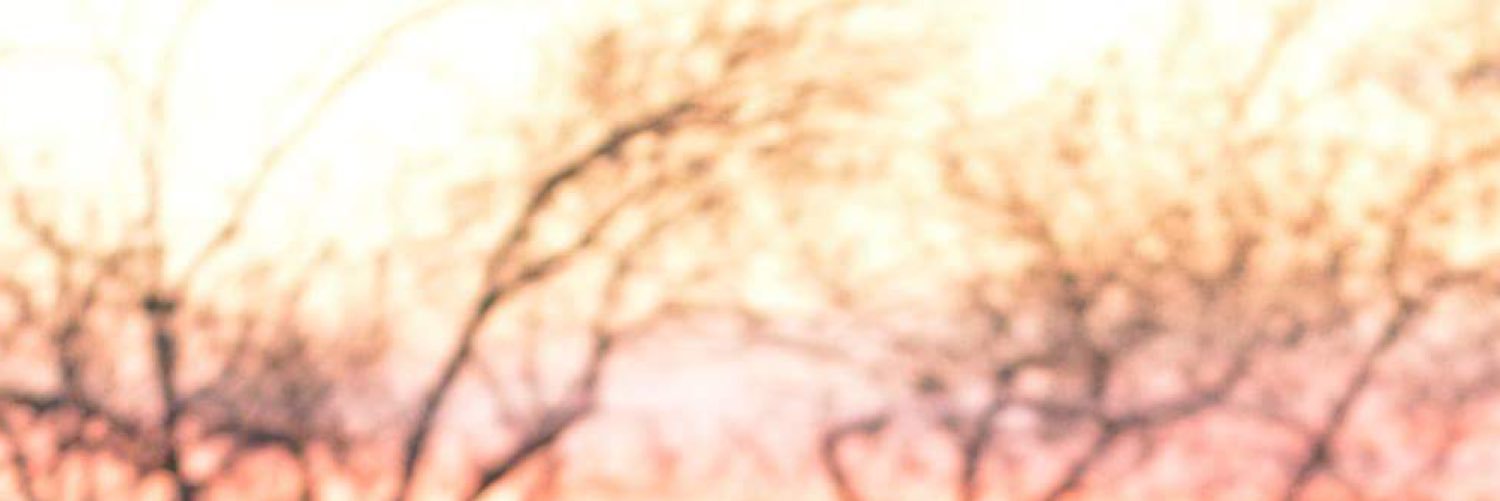 ryan_cardow's profile banner image