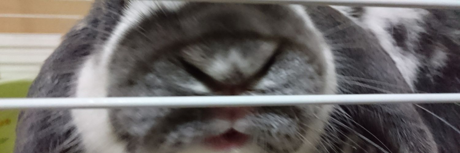 ぼんの下僕 banner