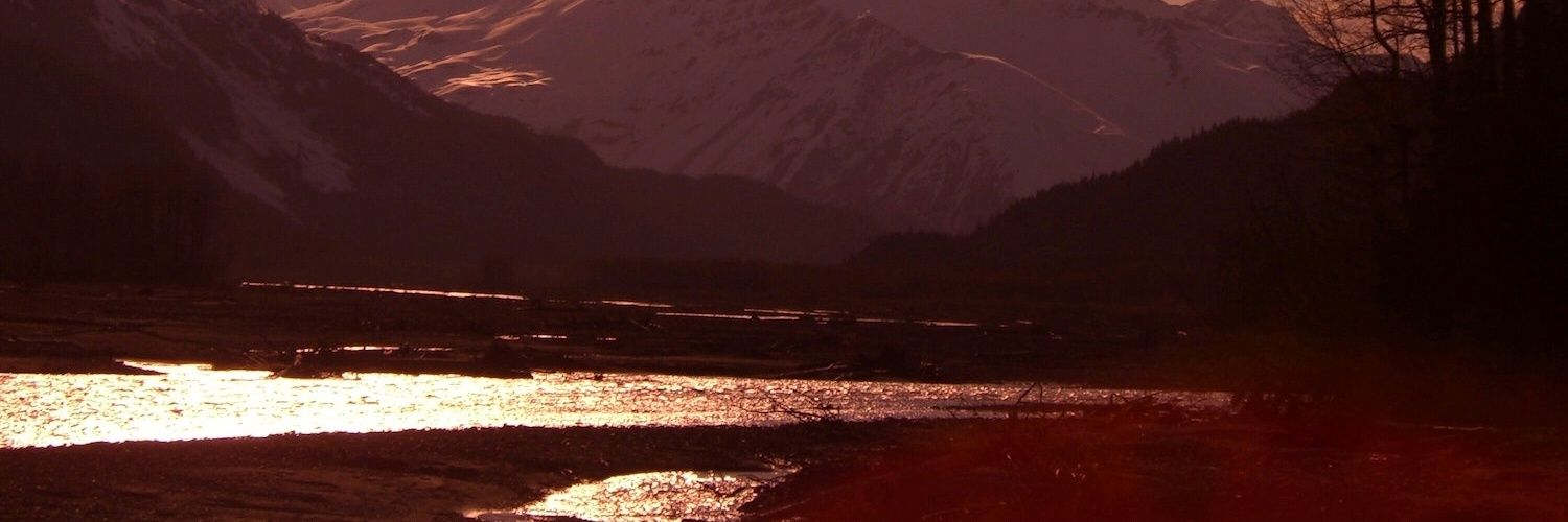 bt1express's profile banner image