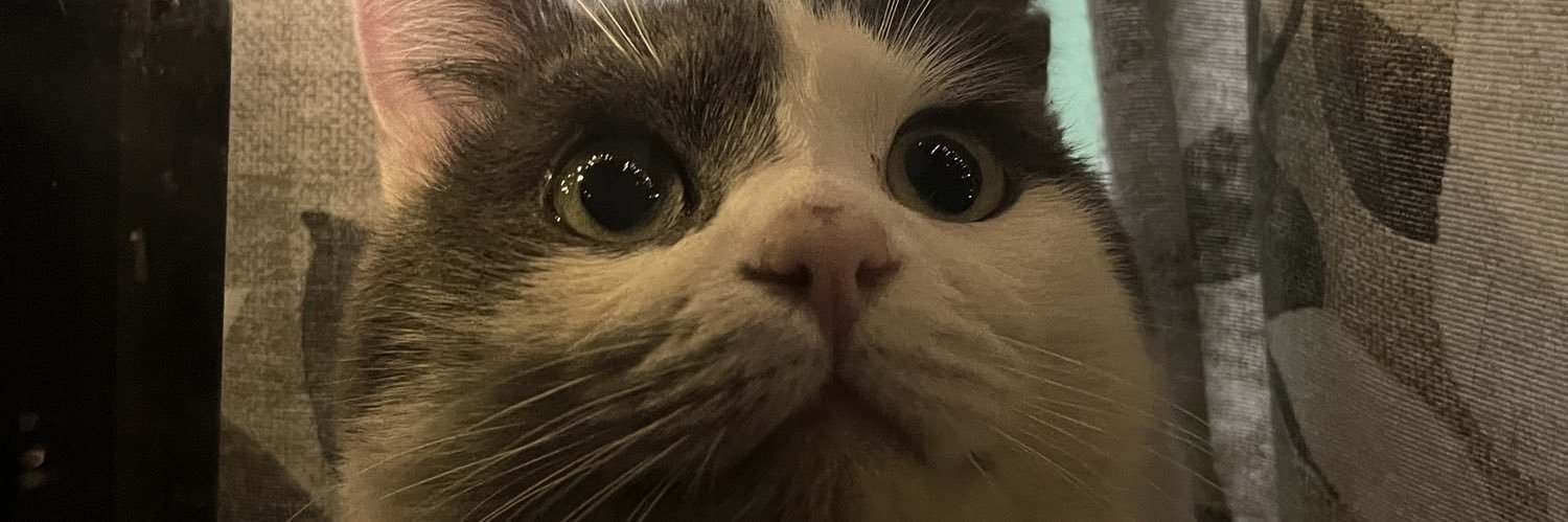 isamiau_'s profile banner image