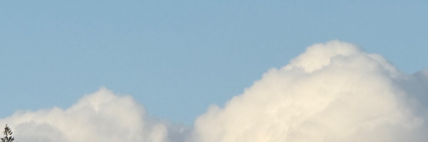 sky's banner