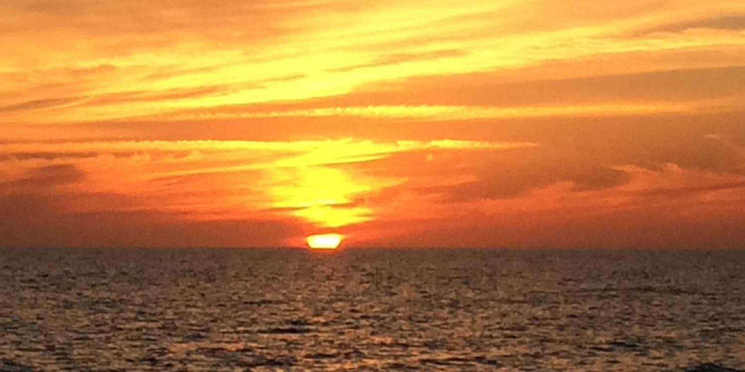 Stephanie Clifford banner