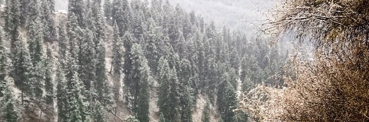 AkashVaish5's profile banner image