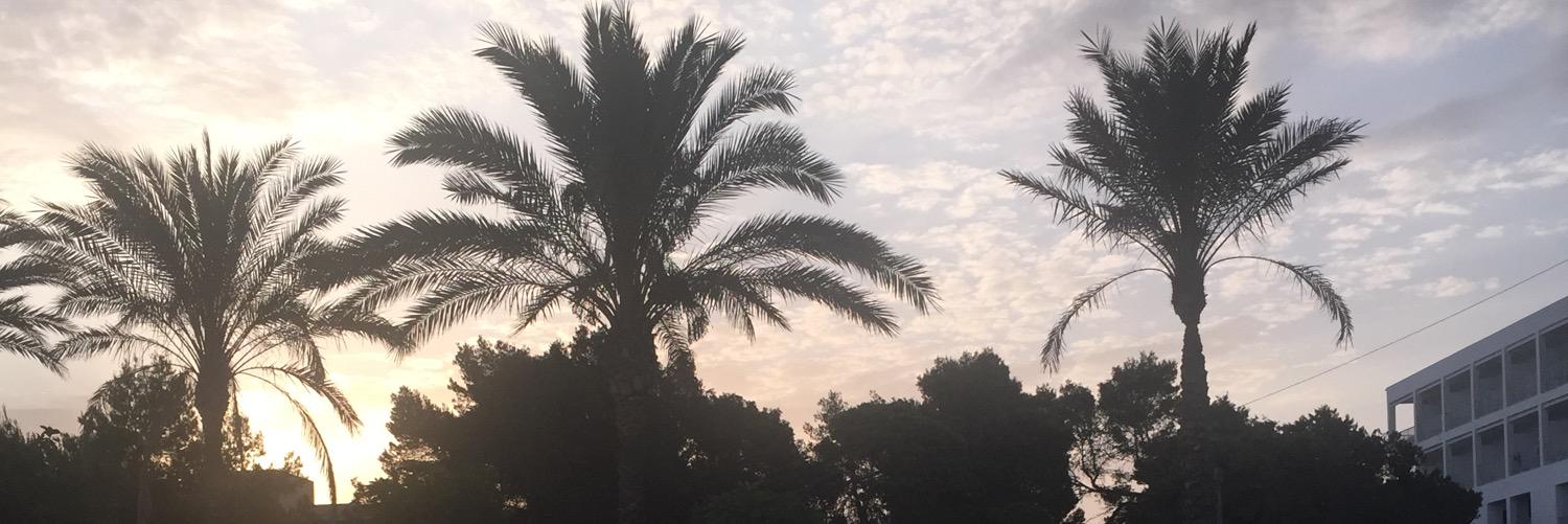 MikzCapone's profile banner image