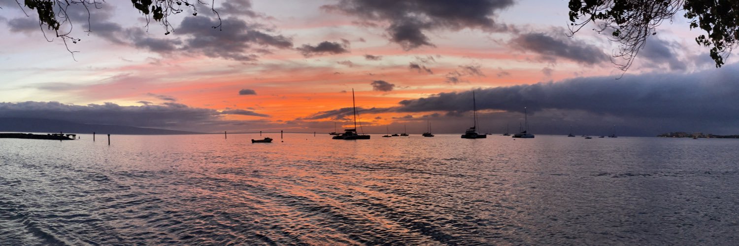 The Fixer, Esquire banner