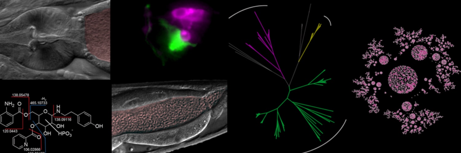Mike O'Donnell banner