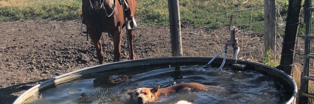downey_chase's profile banner image