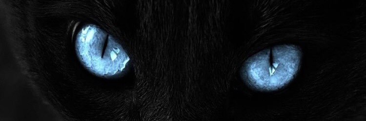 sherouverine's profile banner image
