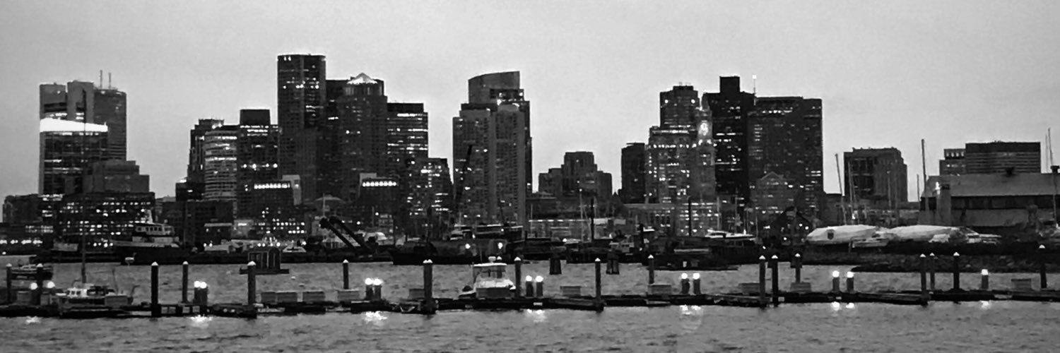 Davi DeBarros banner