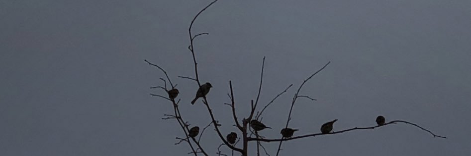 Deem_3z's profile banner image