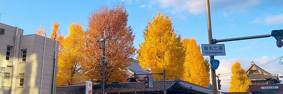 Ha7202635's profile banner image