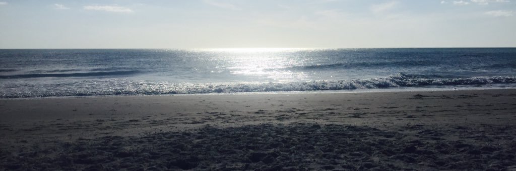 AmyCalvin's profile banner image