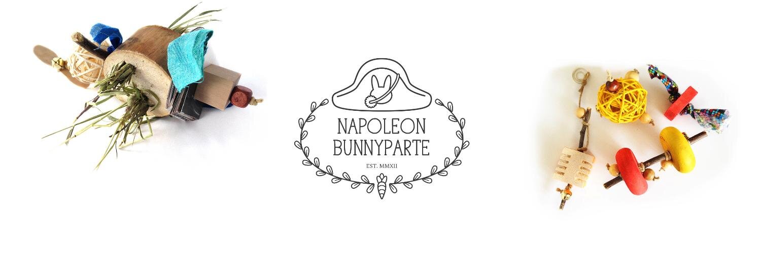 GenBunnyparte's profile banner image