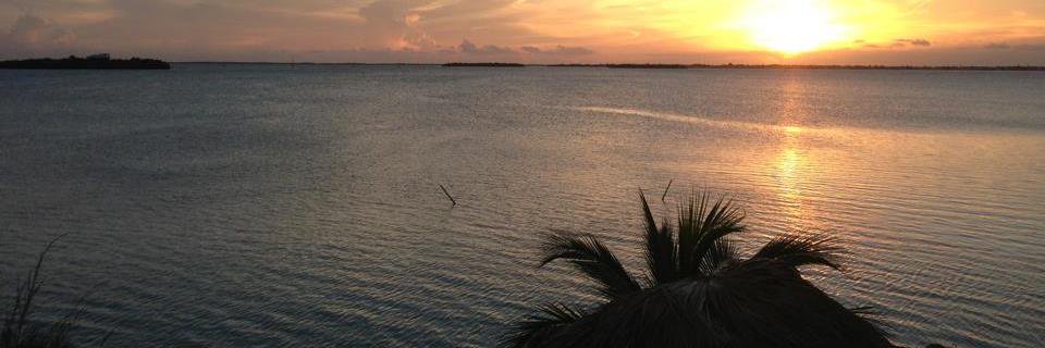 Six Figure Income banner