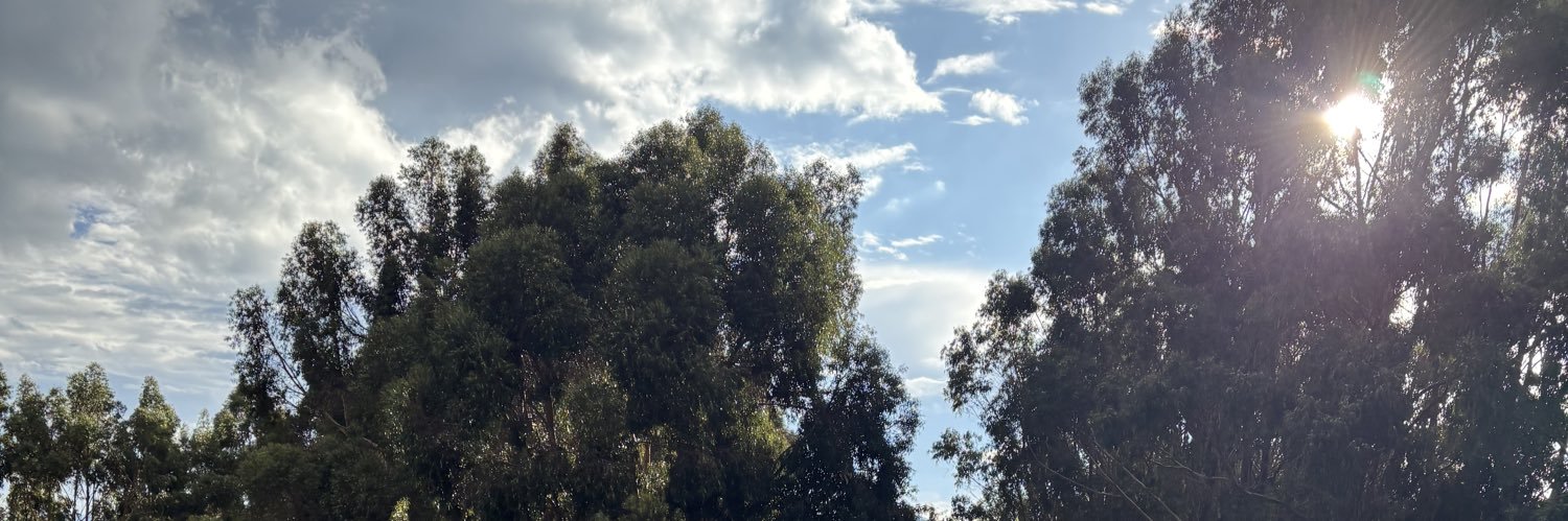 Alien_Sol's profile banner image